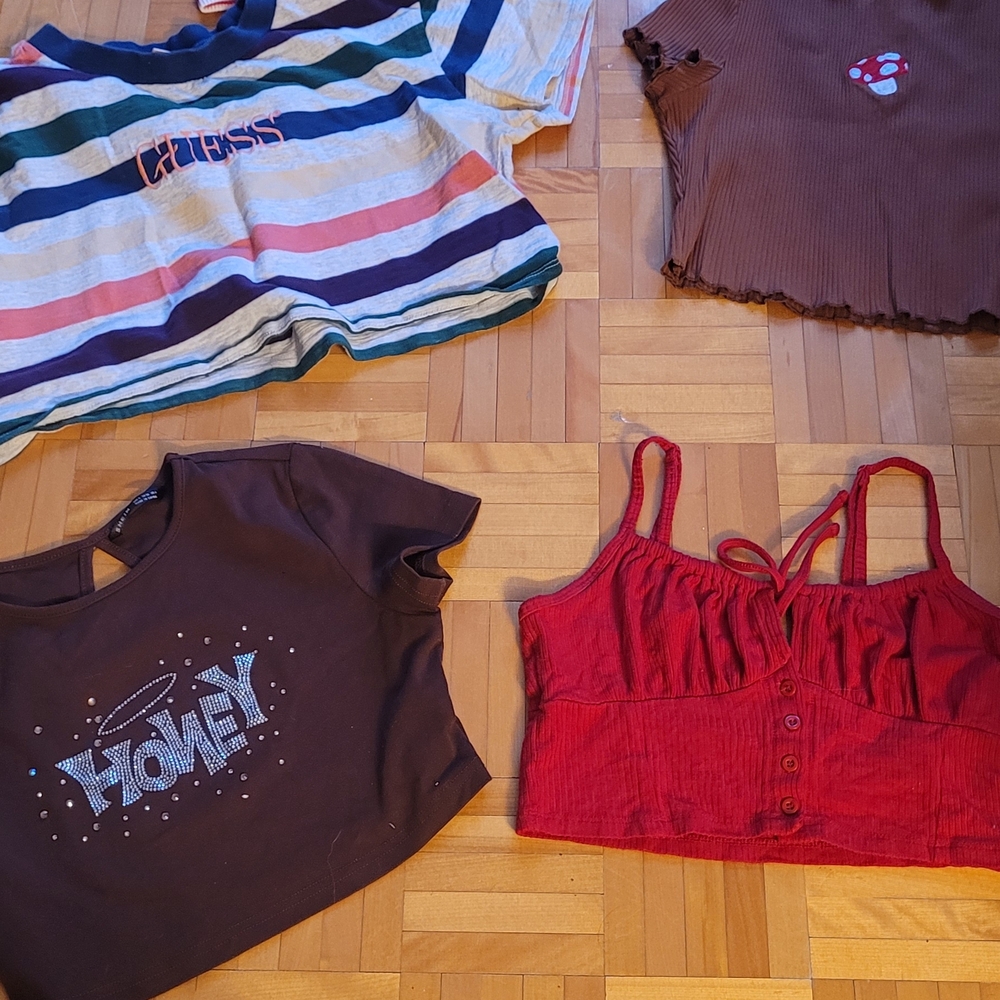 4  Multicolor Striped Crop Top